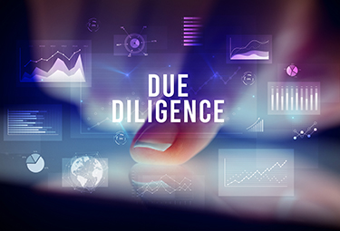 IP Rights Due Diligence Services